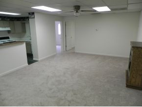 1162 Old State Rte 34 Jonesborough, TN 37659 - Photo 17 of 24 New Carpet in basement