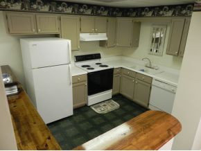 1162 Old State Rte 34 Jonesborough, TN 37659 - Photo 18 of 24 Basement Kitchen