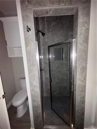 a bathroom with a shower and toilet