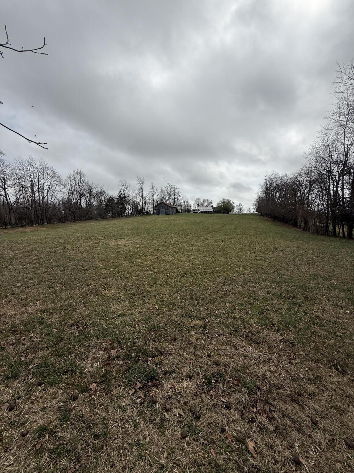 230 Johnson Road Waynesburg, KY 40489 - Photo 68 of 71 IMG_1877