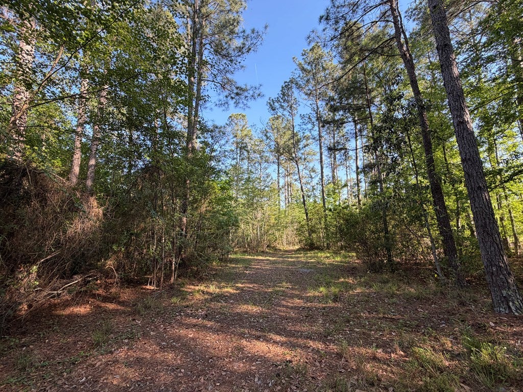 5351 Coppage Road Hahira, GA 31632 - Photo 17 of 33 Gallery Image 17