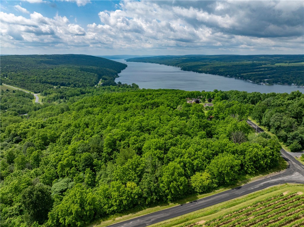 0 Esperanza Road Keuka Park, NY 14478 - Photo 1 of 17