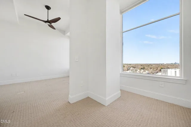 a close view of light