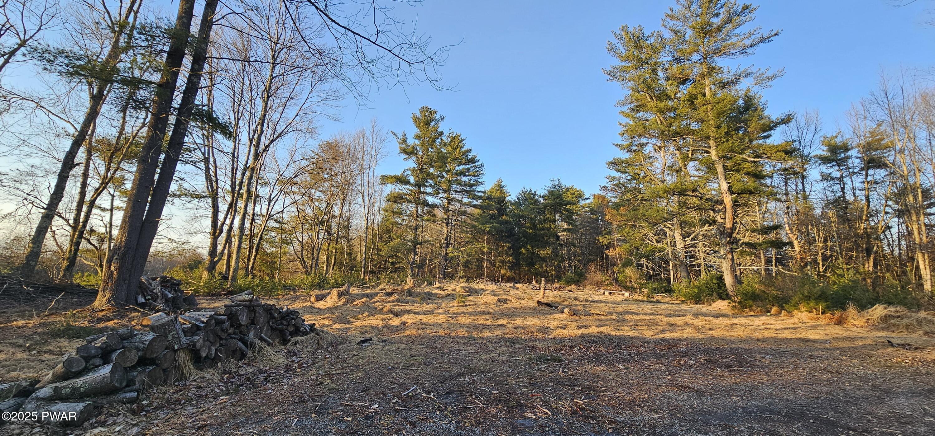 Lot 16.1 Beaver Brook Road Narrowsburg, NY 12764 - Photo 2 of 10