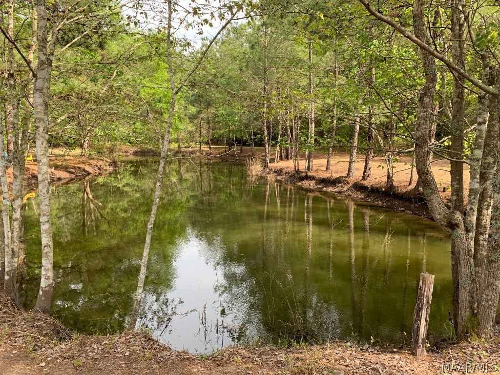 955 River Cutoff Road Samson, AL 36477 - Photo 9 of 15 Gallery Image 9