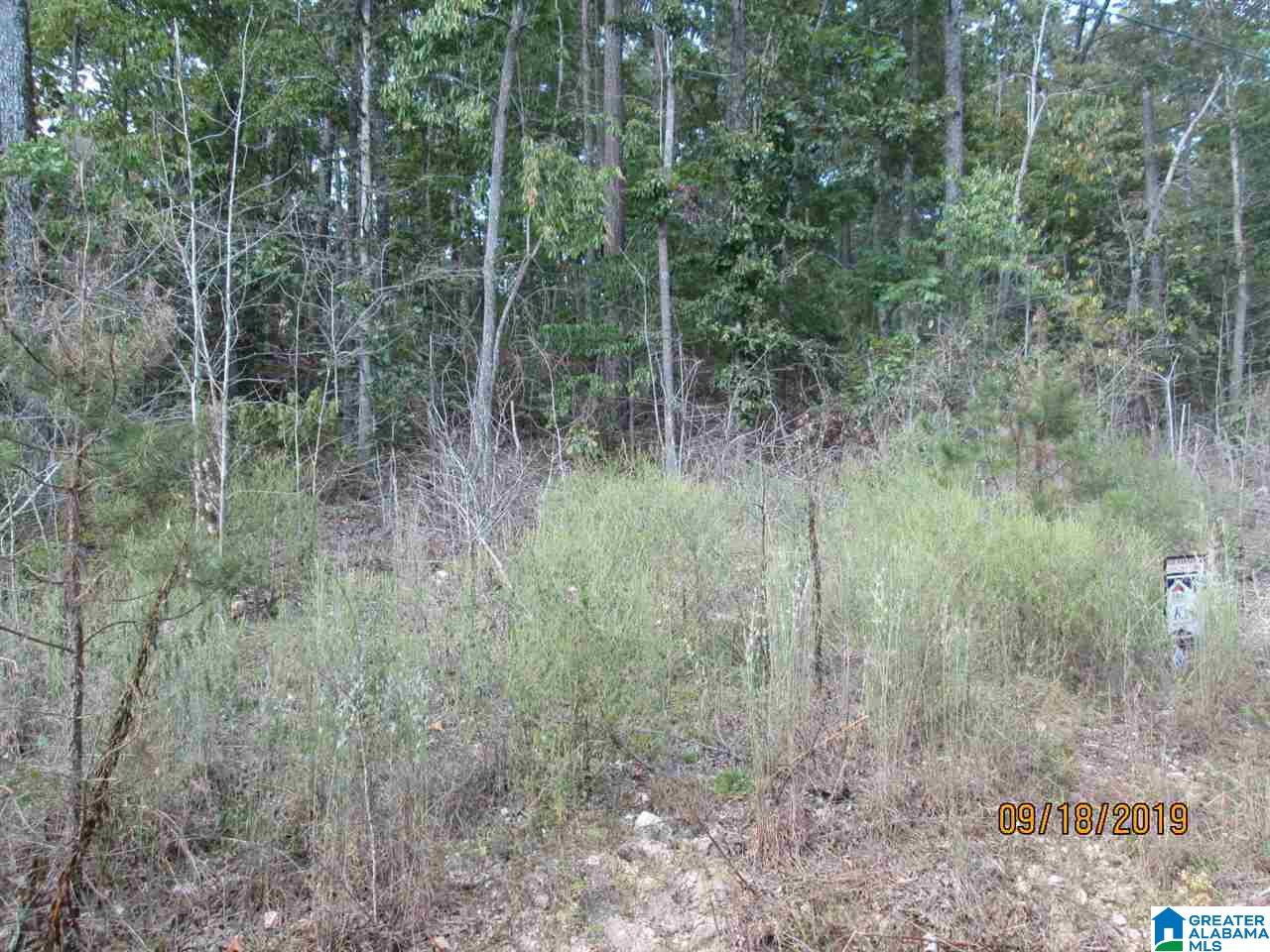 86 Red Valley Circle Remlap, AL 35133 - Photo 40 of 46