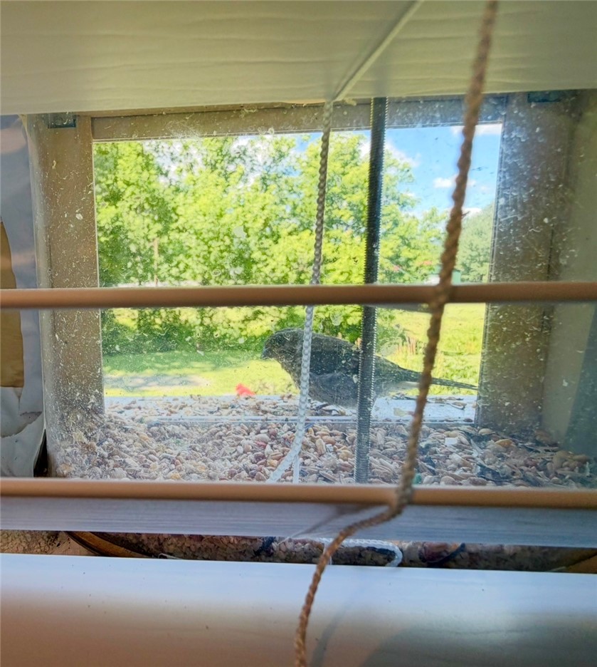 291 Camp Road Pittsfield, NY 13411 - Photo 17 of 50 Gallery Image 17