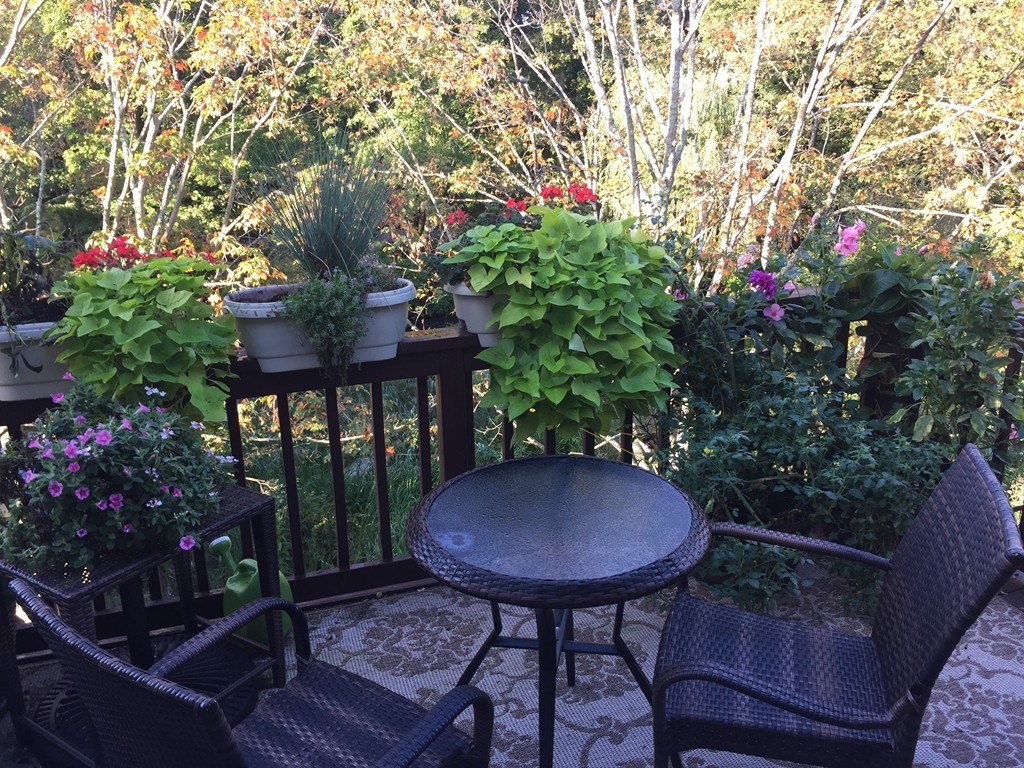 60 Maple Street, Unit N Canton, MA 02021 - Photo 18 of 21 Gallery Image 18