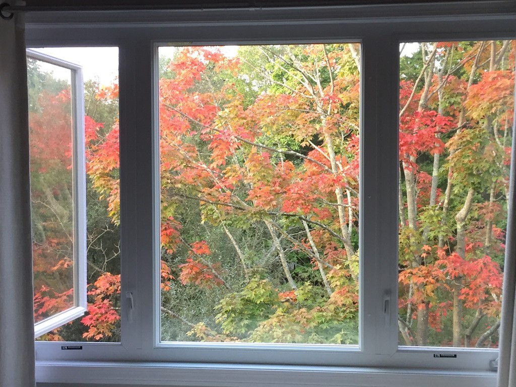 60 Maple Street, Unit N Canton, MA 02021 - Photo 19 of 21 Gallery Image 19