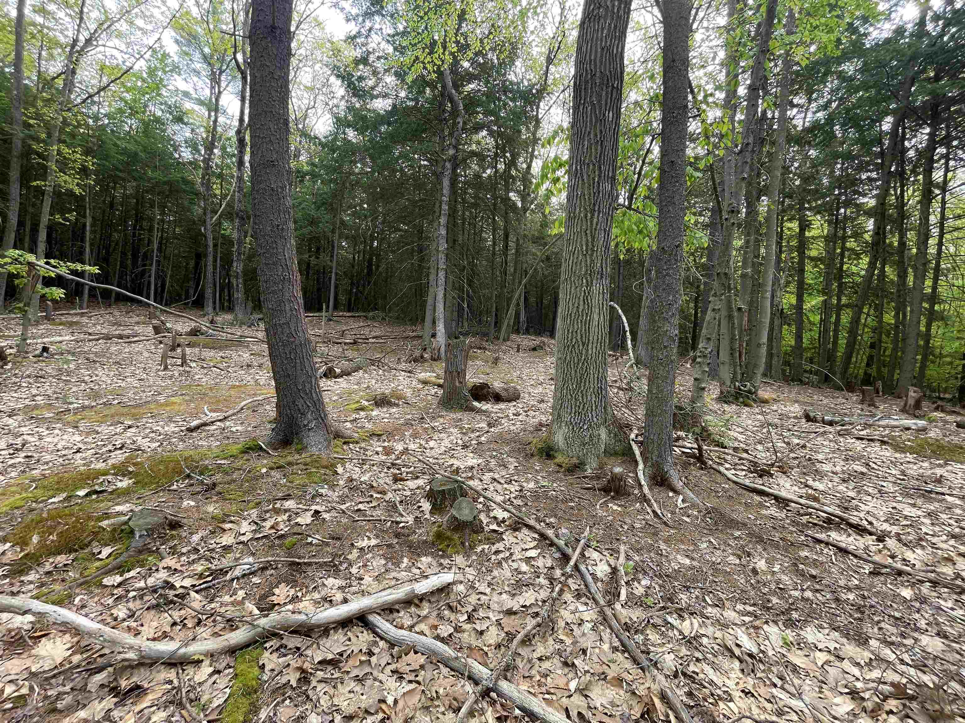 49 Durrell Mountain Road Belmont, NH 03220 - Photo 6 of 14