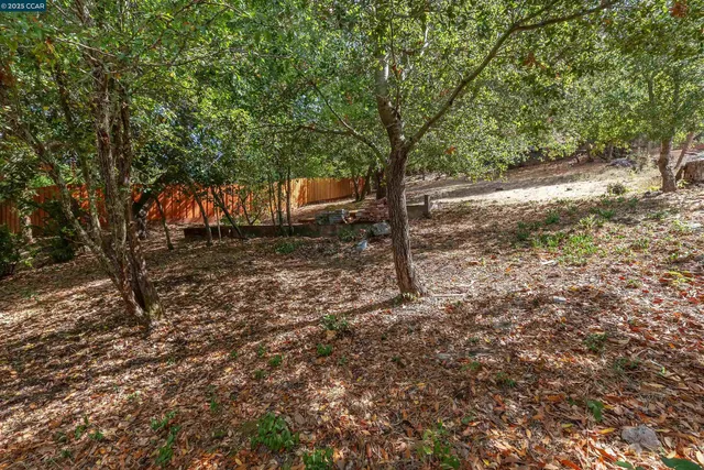 a view of a yard with a tree