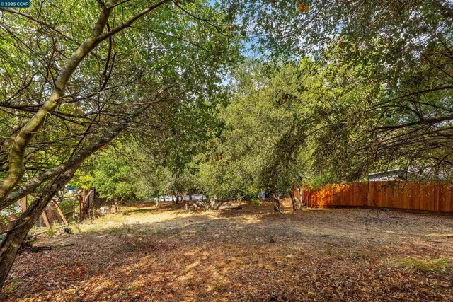 a view of outdoor space with trees
