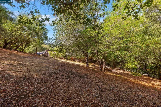 a view of a yard with large trees