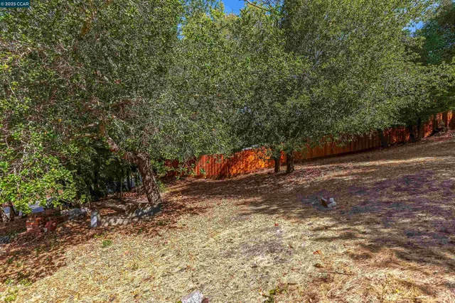 a backyard of a house with a tree