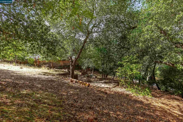 a view of a forest with trees