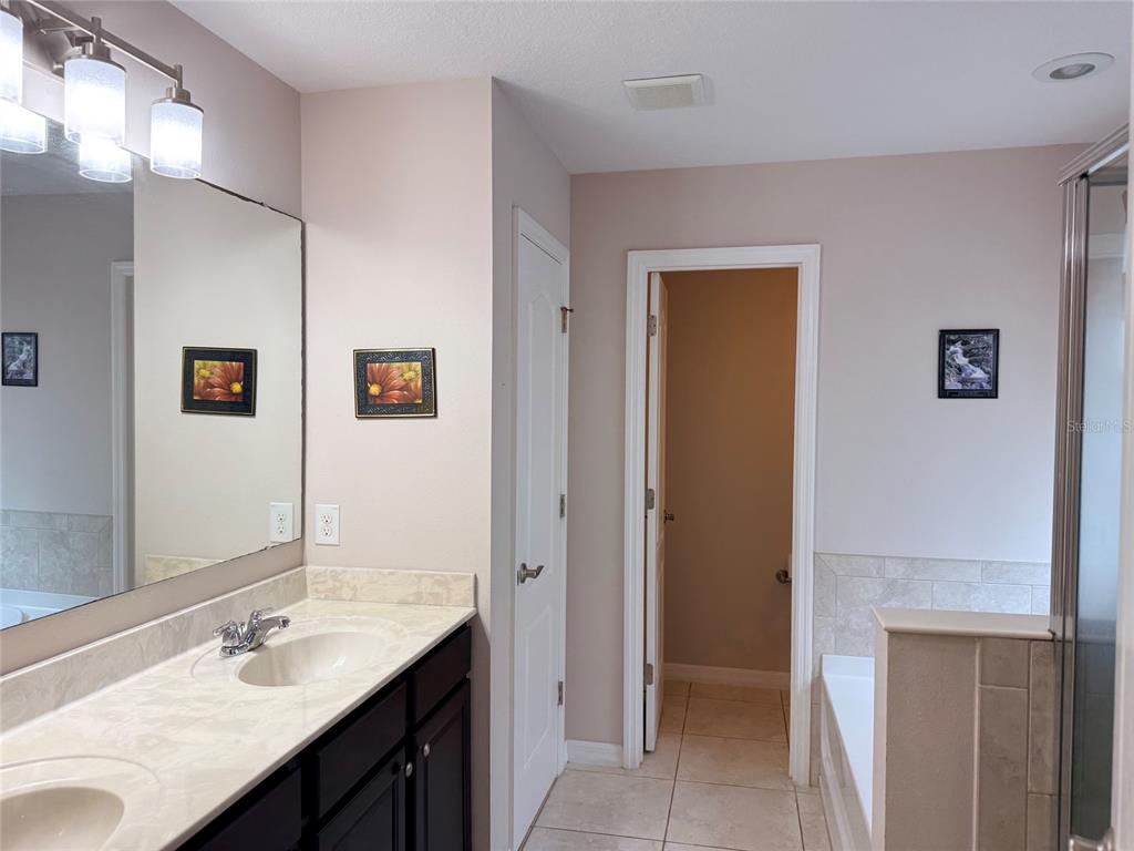 2084 Water Tupelo Way Ocoee, FL 34761 - Photo 15 of 34 a bathroom with a granite countertop sink and a mirror
