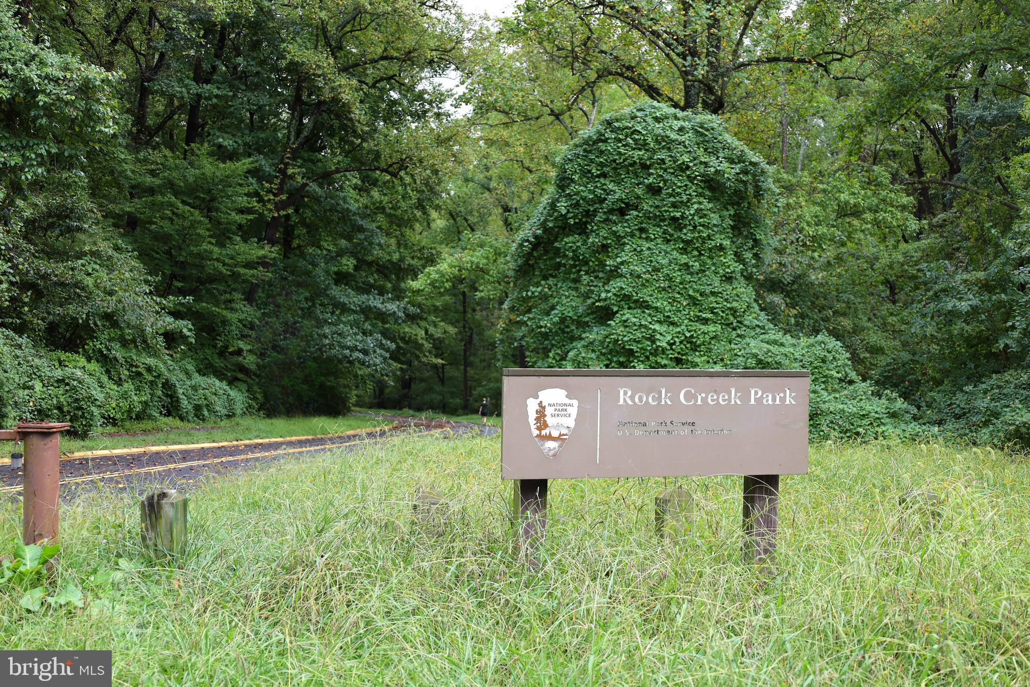 1865 Park Road Northwest, Unit 1 Washington, DC 20010 - Photo 54 of 61 Blocks from the trails of Rock Creek Park