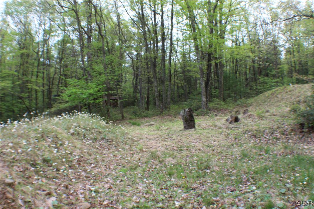 679 Toll Road Effort, PA 18330 - Photo 11 of 20 Gallery Image 11