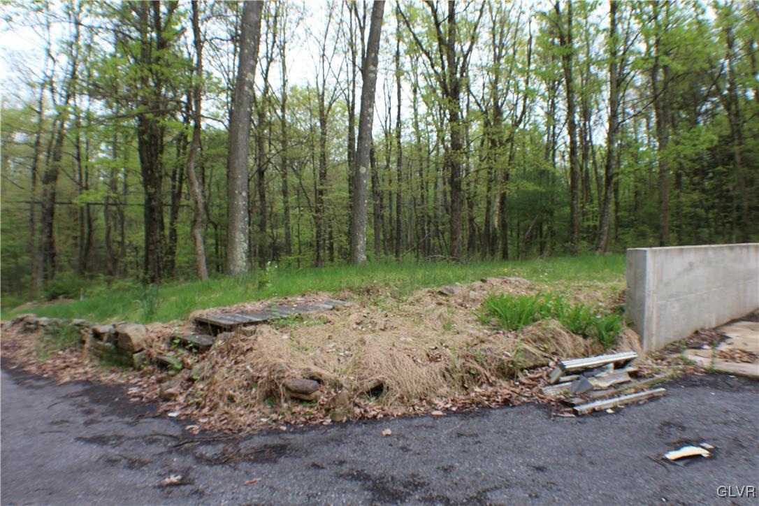 679 Toll Road Effort, PA 18330 - Photo 8 of 20 Gallery Image 8