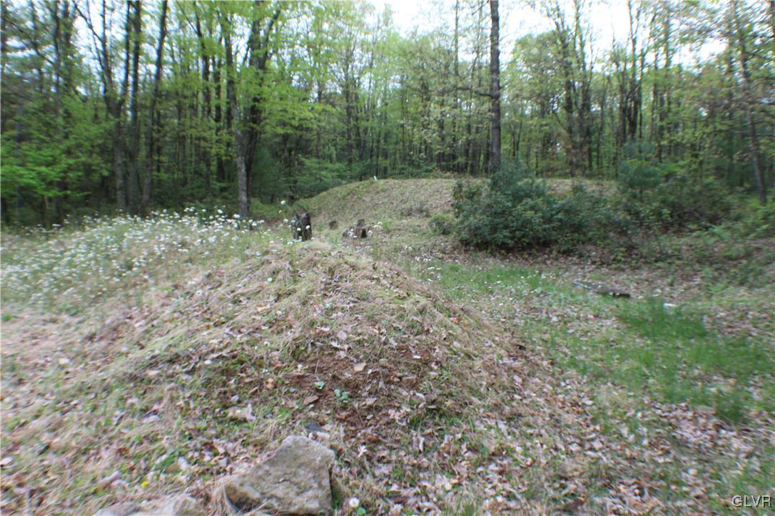679 Toll Road Effort, PA 18330 - Photo 9 of 20 Gallery Image 9