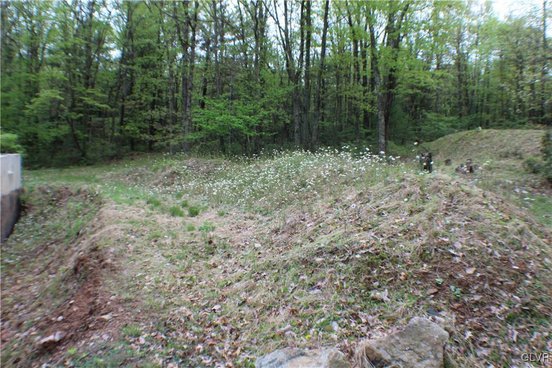 679 Toll Road Effort, PA 18330 - Photo 10 of 20 Gallery Image 10