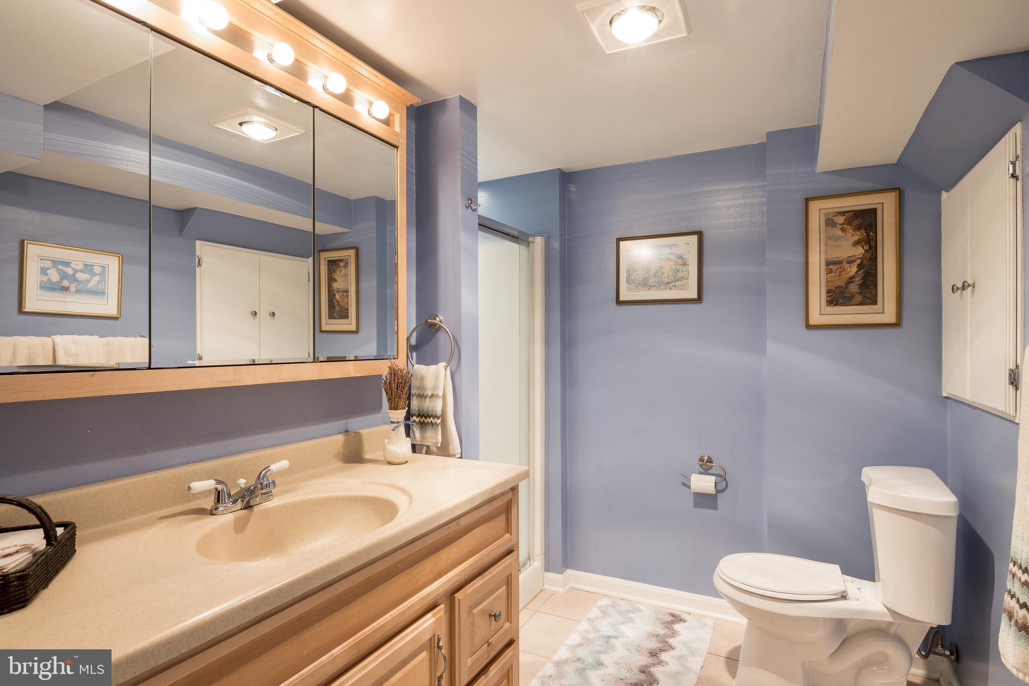 1512 Dellsway Road Baltimore, MD 21286 - Photo 33 of 41 Lower Level Bathroom-Nicely Updated