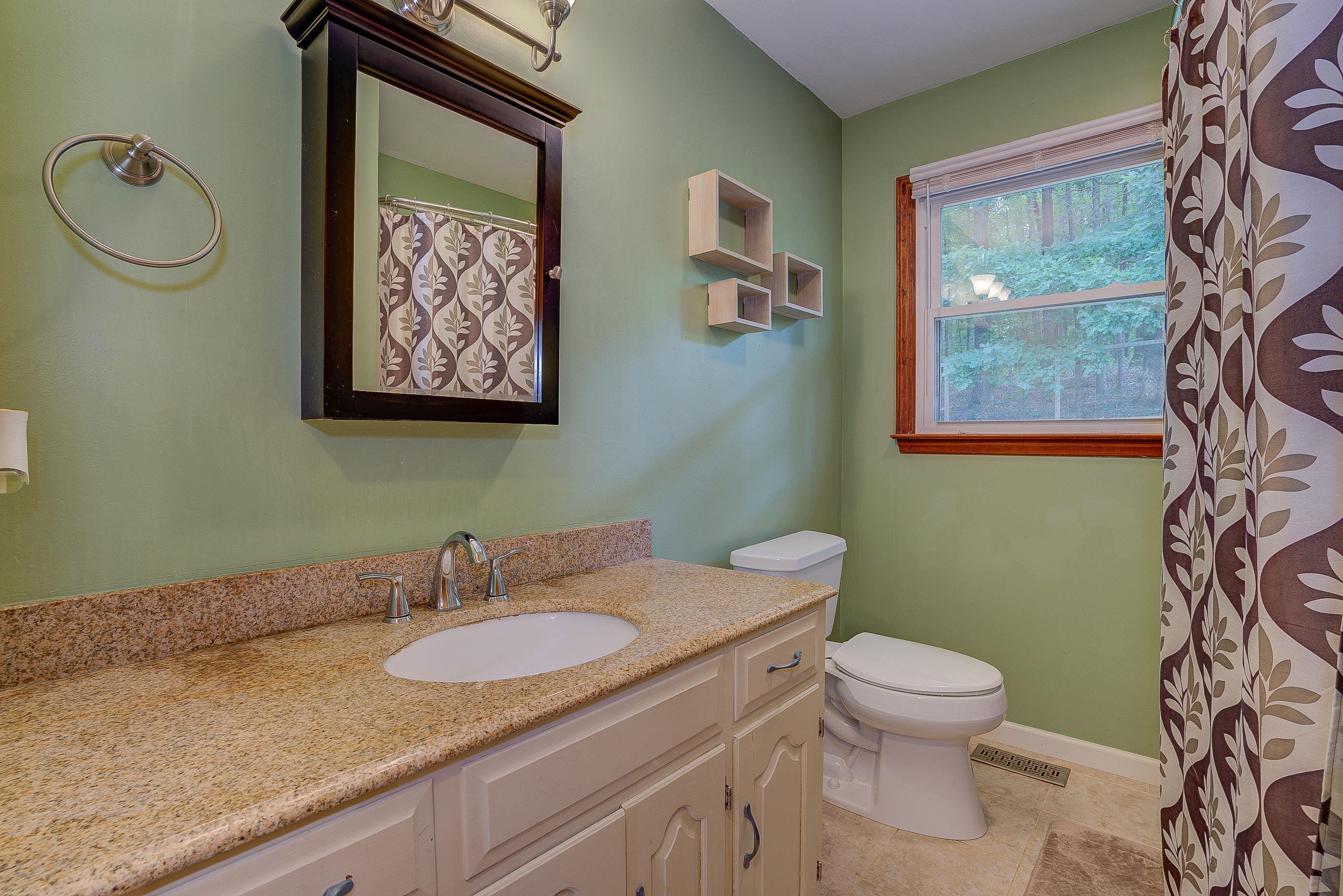 1405 Bore Auger Road Blue Ridge, VA 24064 - Photo 16 of 22 a bathroom with a granite countertop toilet sink and mirror