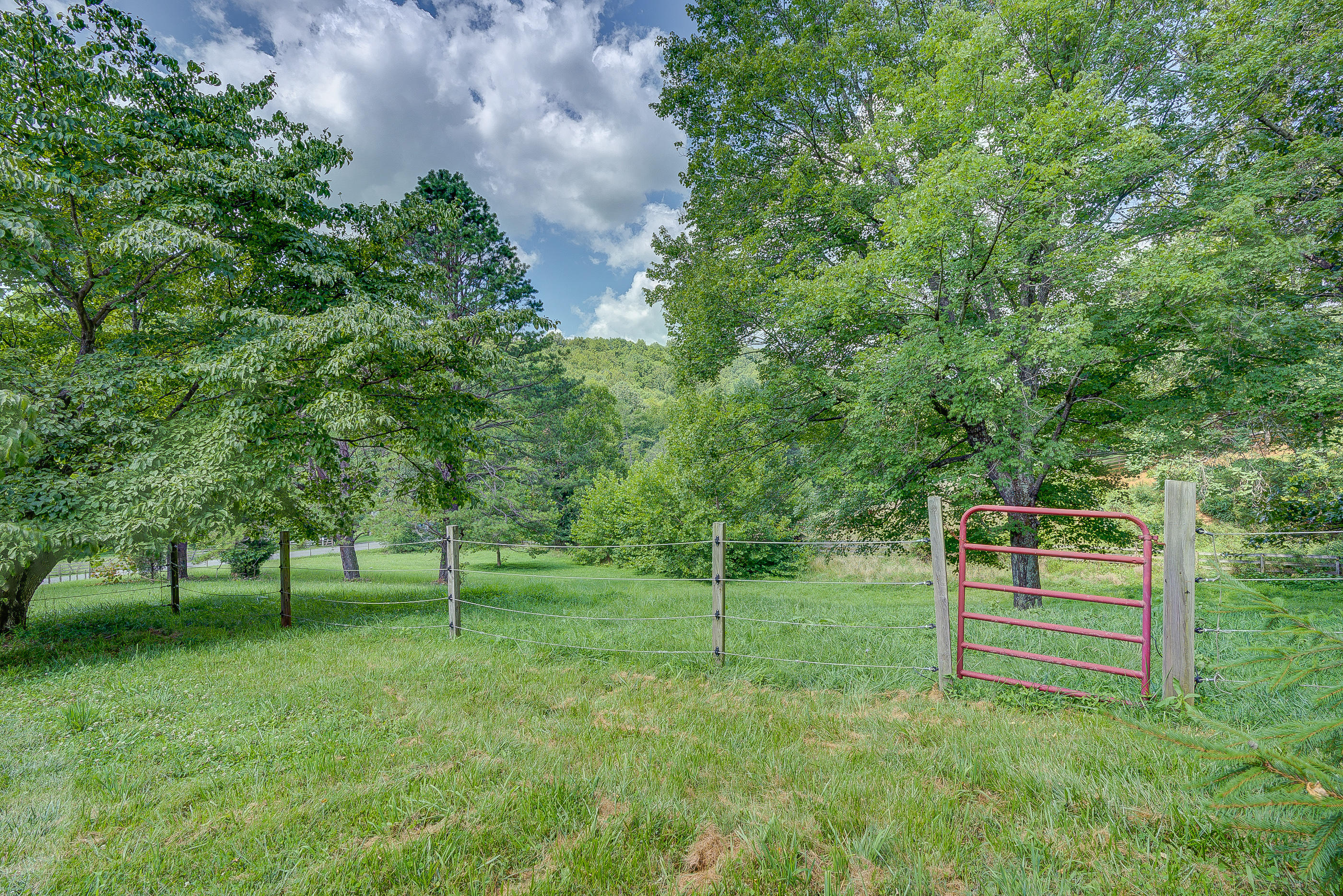 1405 Bore Auger Road Blue Ridge, VA 24064 - Photo 5 of 22 a view of a park with large trees