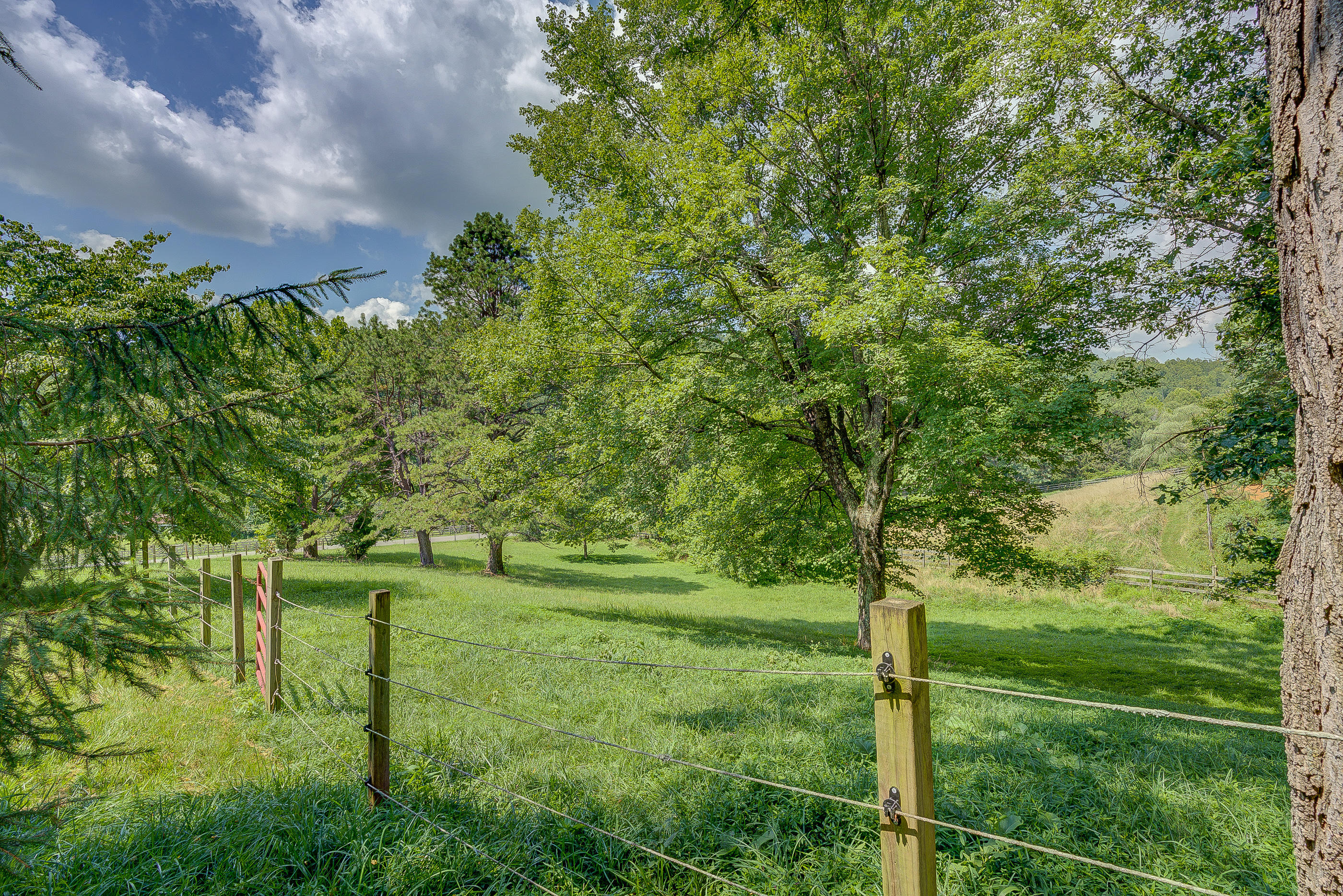1405 Bore Auger Road Blue Ridge, VA 24064 - Photo 6 of 22 a big yard with lots of green space and plants