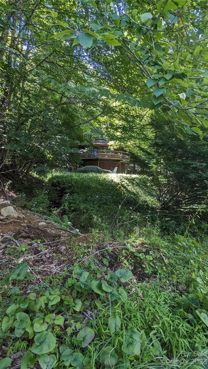 330 Spring Valley Drive Mars Hill, NC 28754 - Photo 13 of 13