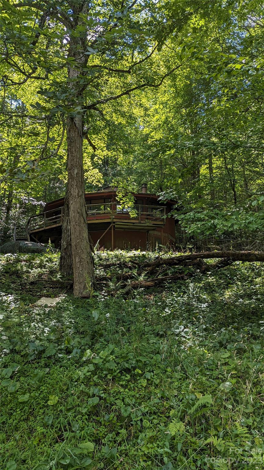 330 Spring Valley Drive Mars Hill, NC 28754 - Photo 2 of 13