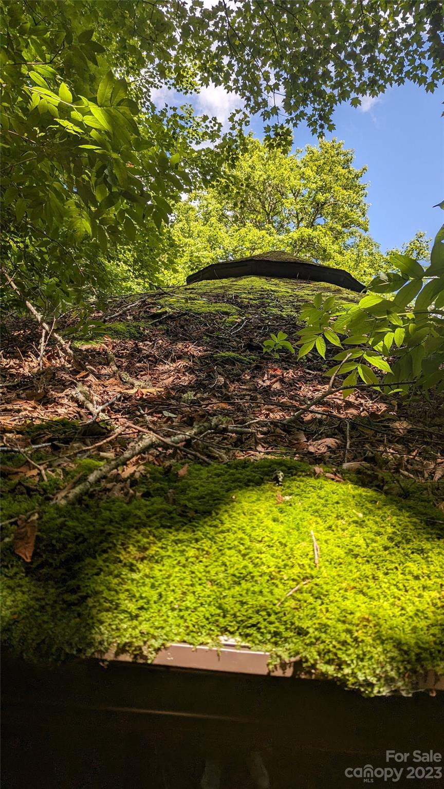 330 Spring Valley Drive Mars Hill, NC 28754 - Photo 4 of 13