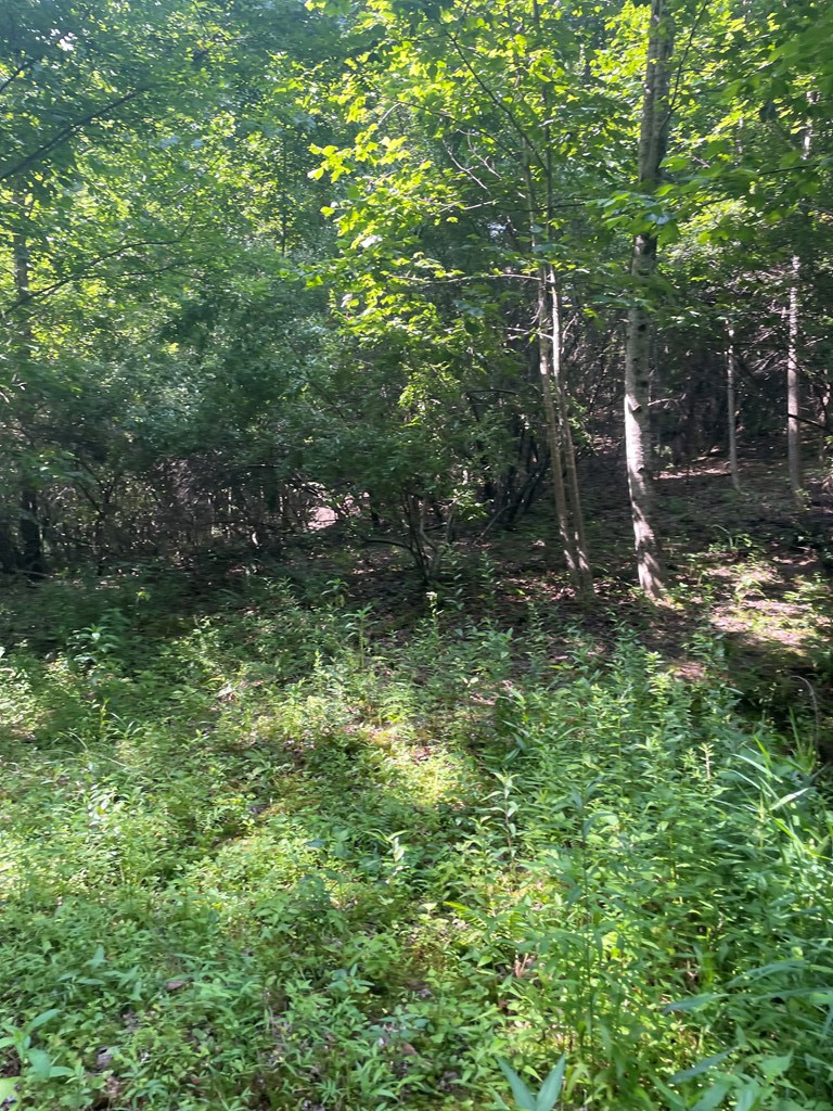 0 Hidden Lakes Road Topton, NC 28781 - Photo 7 of 7