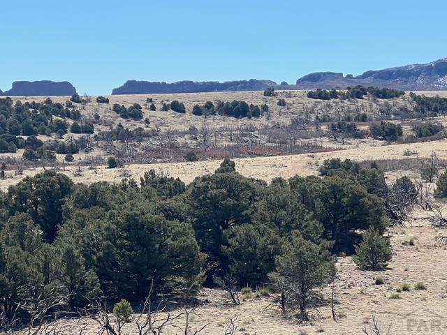 3 B Majors Ranch Road Walsenburg, CO 81089 - Photo 46 of 54