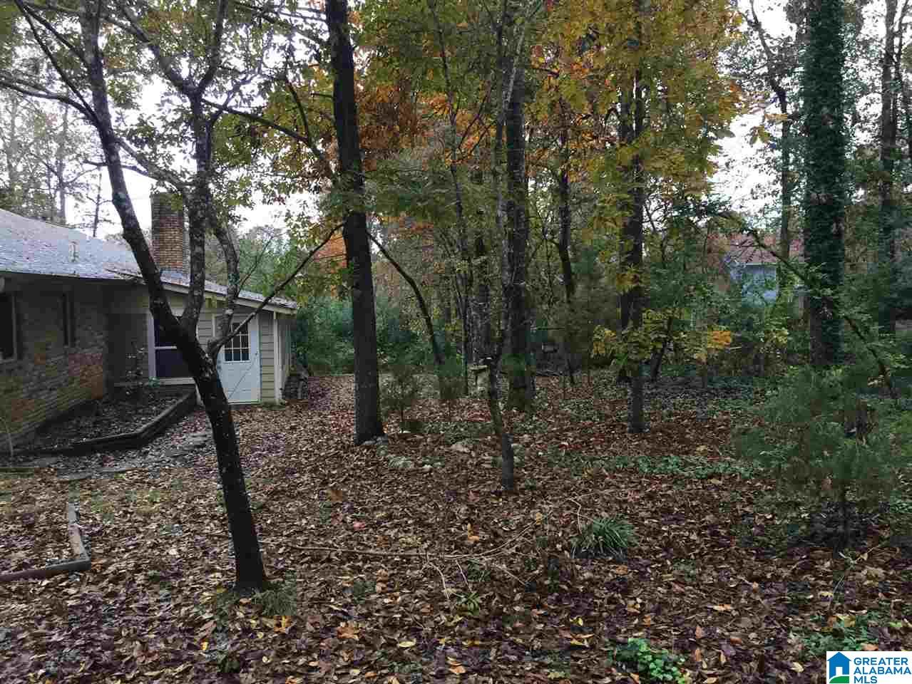 250 Hunting Ridge Drive Cropwell, AL 35054 - Photo 36 of 48