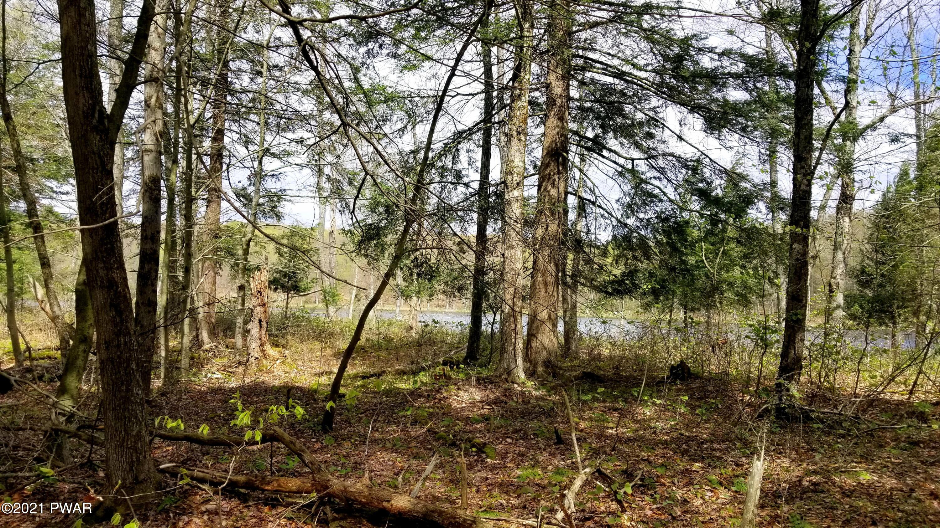 Lot 80 Stonegate Road Equinunk, PA 18417 - Photo 20 of 58