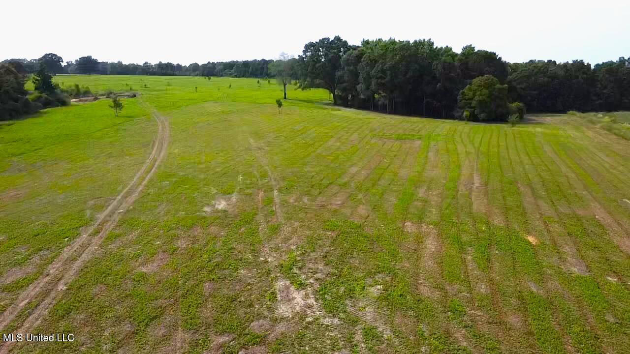 Lester Seals Road Lumberton, MS 39455 - Photo 4 of 8 1