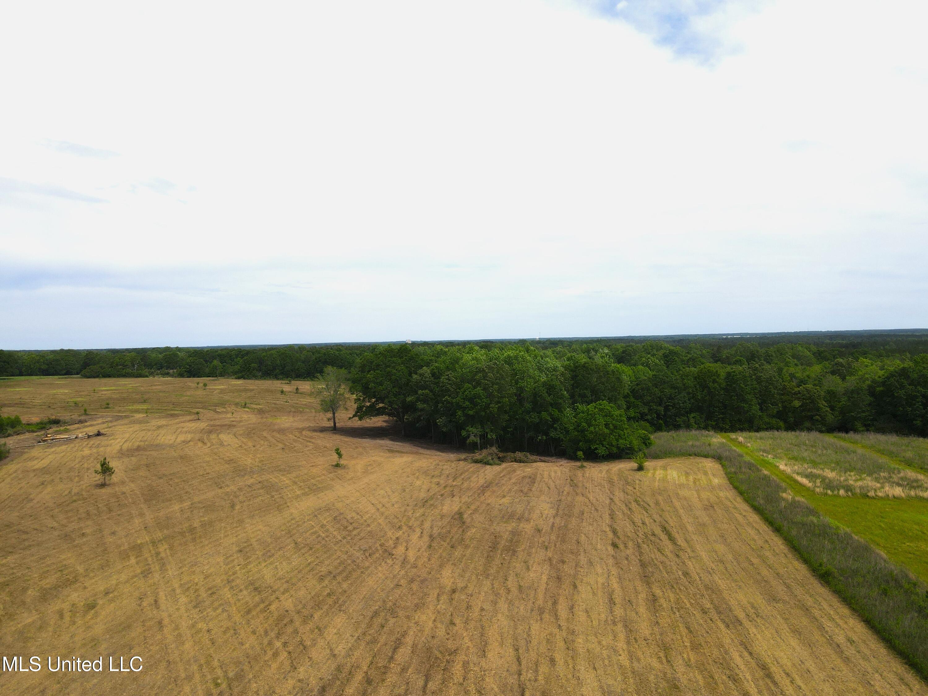 Lester Seals Road Lumberton, MS 39455 - Photo 6 of 8 DJI_0346