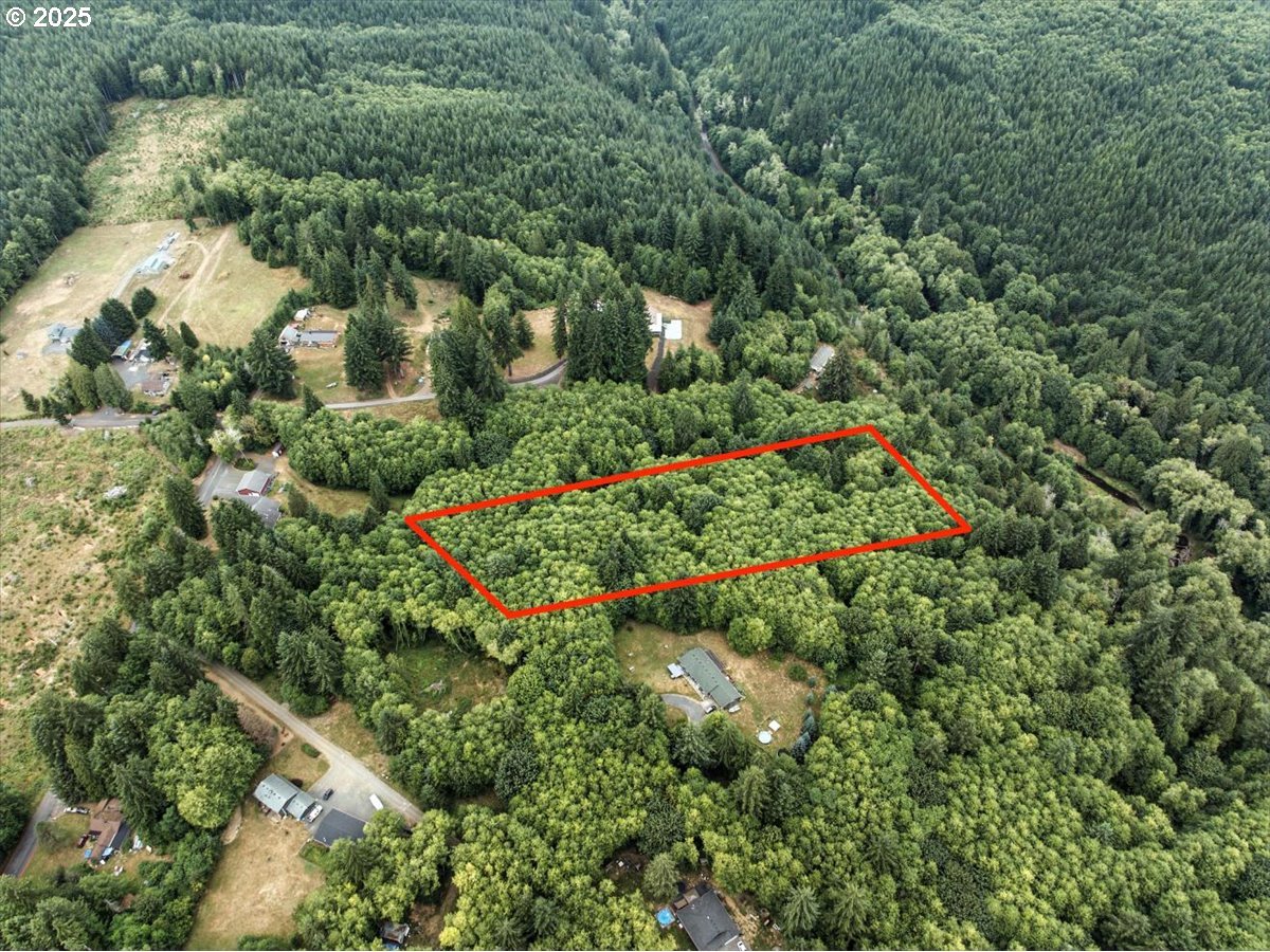 1550 Slide Creek Road Longview, WA 98632 - Photo 1 of 13