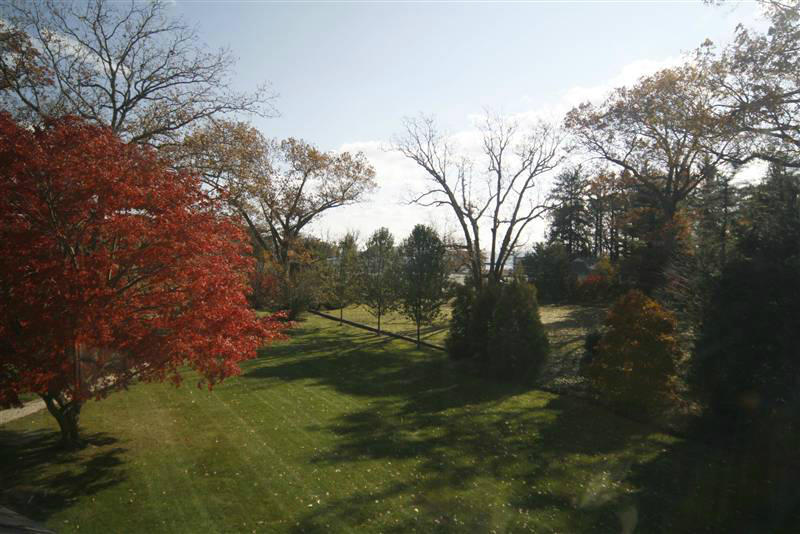 9 Contentment Island Road Darien, CT 06820 - Photo 14 of 38 a backyard of a house with lots of green space