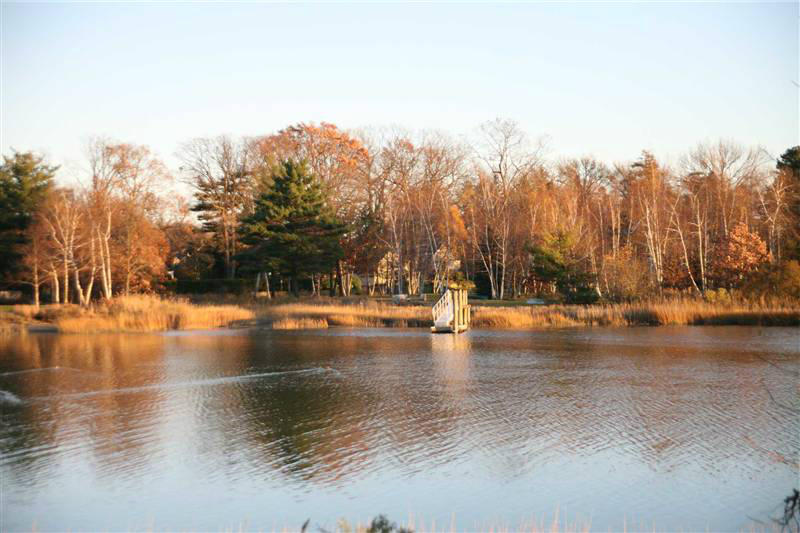 9 Contentment Island Road Darien, CT 06820 - Photo 16 of 38 a view of swimming pool with trees and buildings in the background