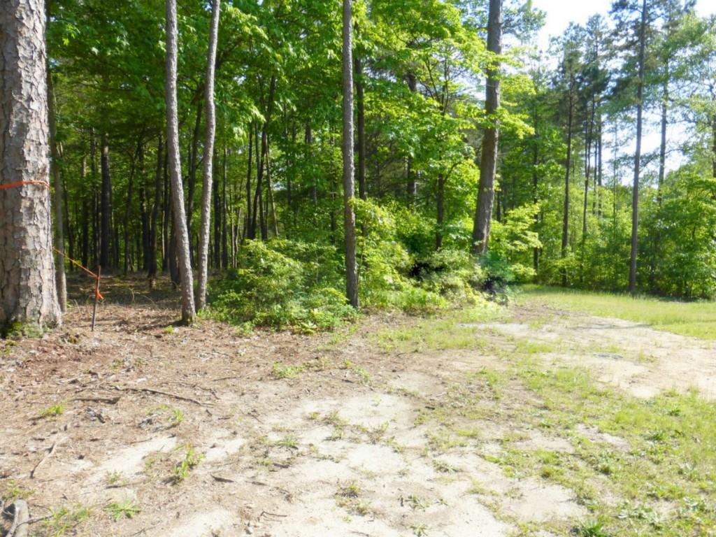 0 Paynes Creek Road Hartwell, GA 30643 - Photo 1 of 1 Gallery Image 1