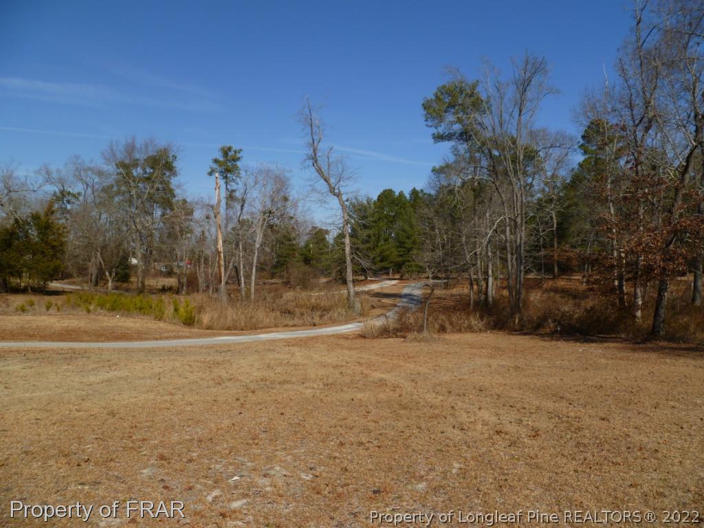 1000 Chason Road Lumber Bridge, NC 28357 - Photo 3 of 33 Gallery Image 3