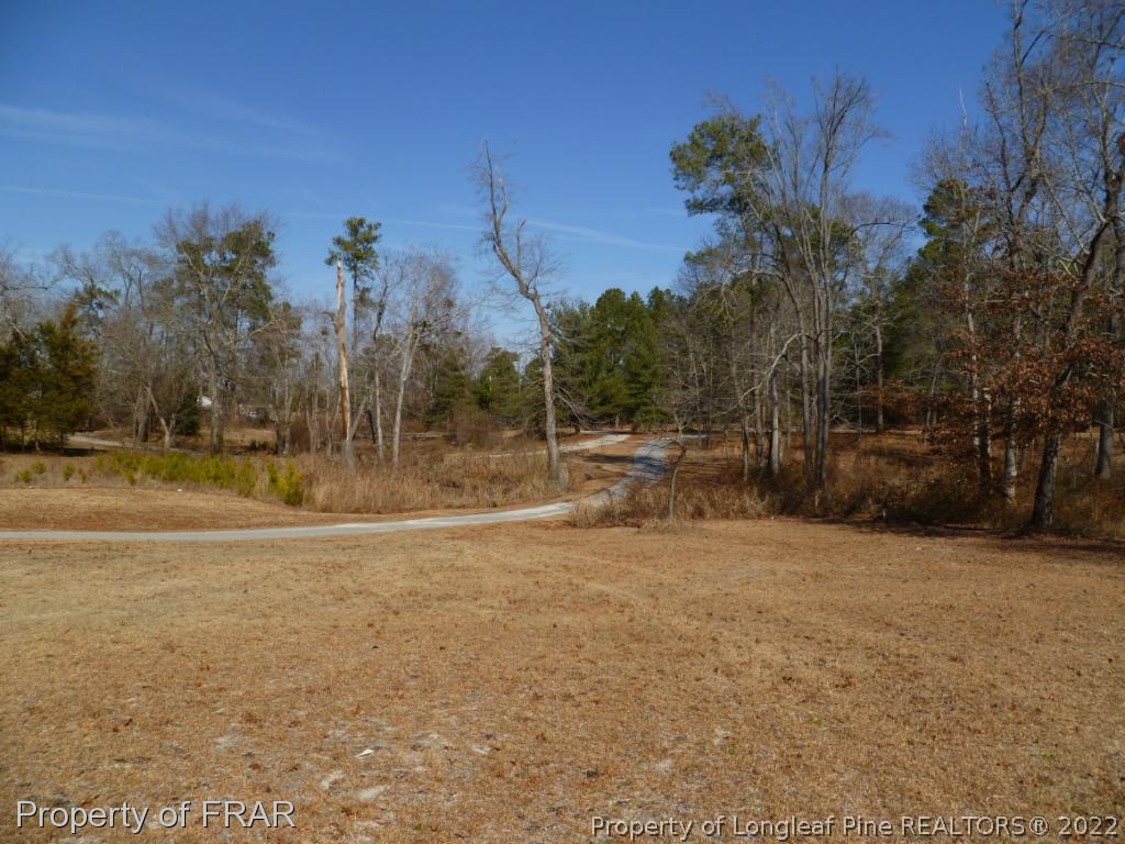 1000 Chason Road Lumber Bridge, NC 28357 - Photo 32 of 33 Gallery Image 32
