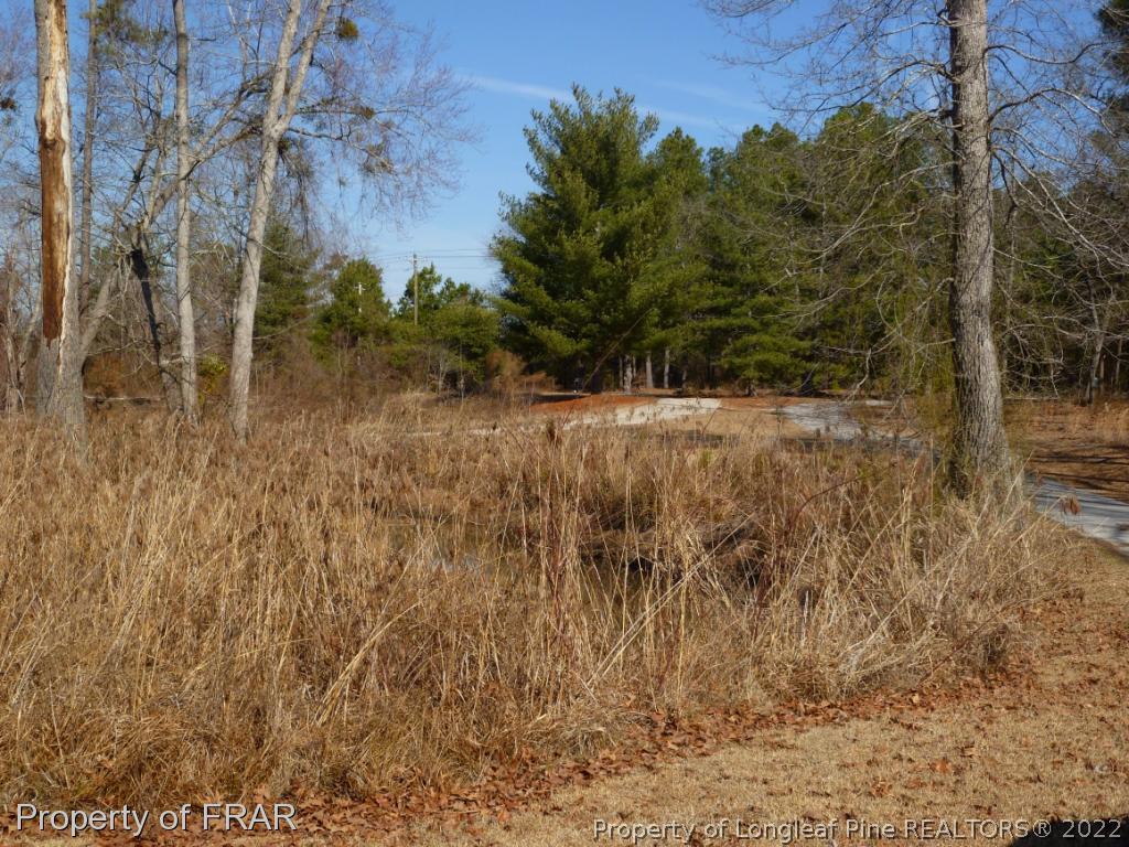 1000 Chason Road Lumber Bridge, NC 28357 - Photo 33 of 33 Gallery Image 33