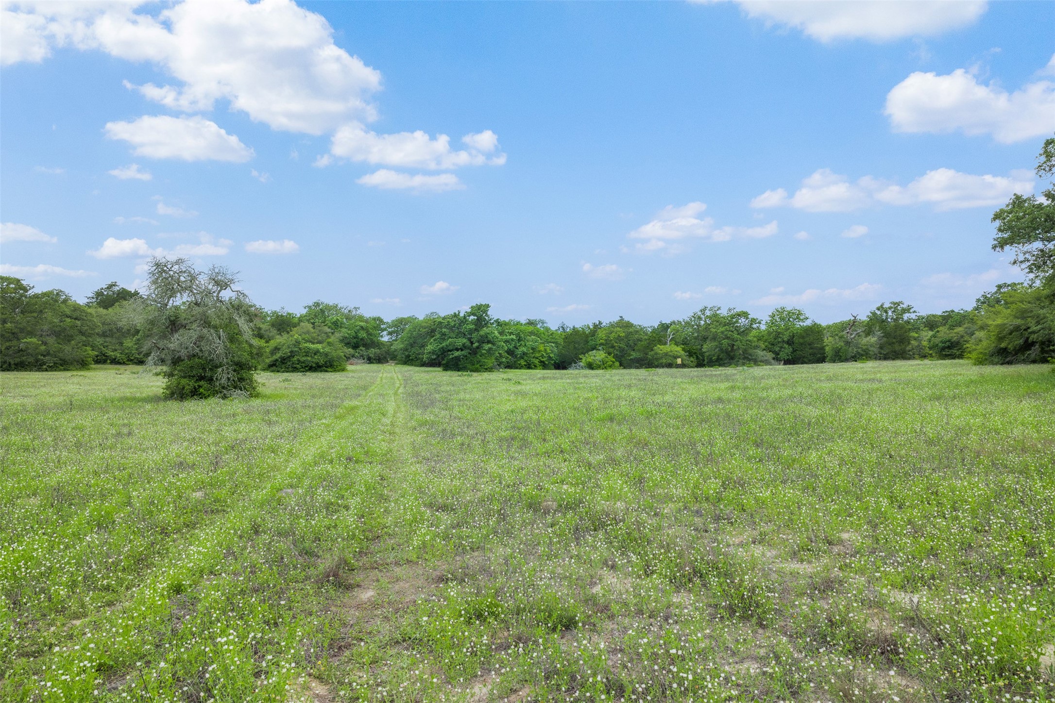 622 Red Rock Ranch Road Red Rock, TX 78662 - Photo 19 of 46 a view of an outdoor space and yard