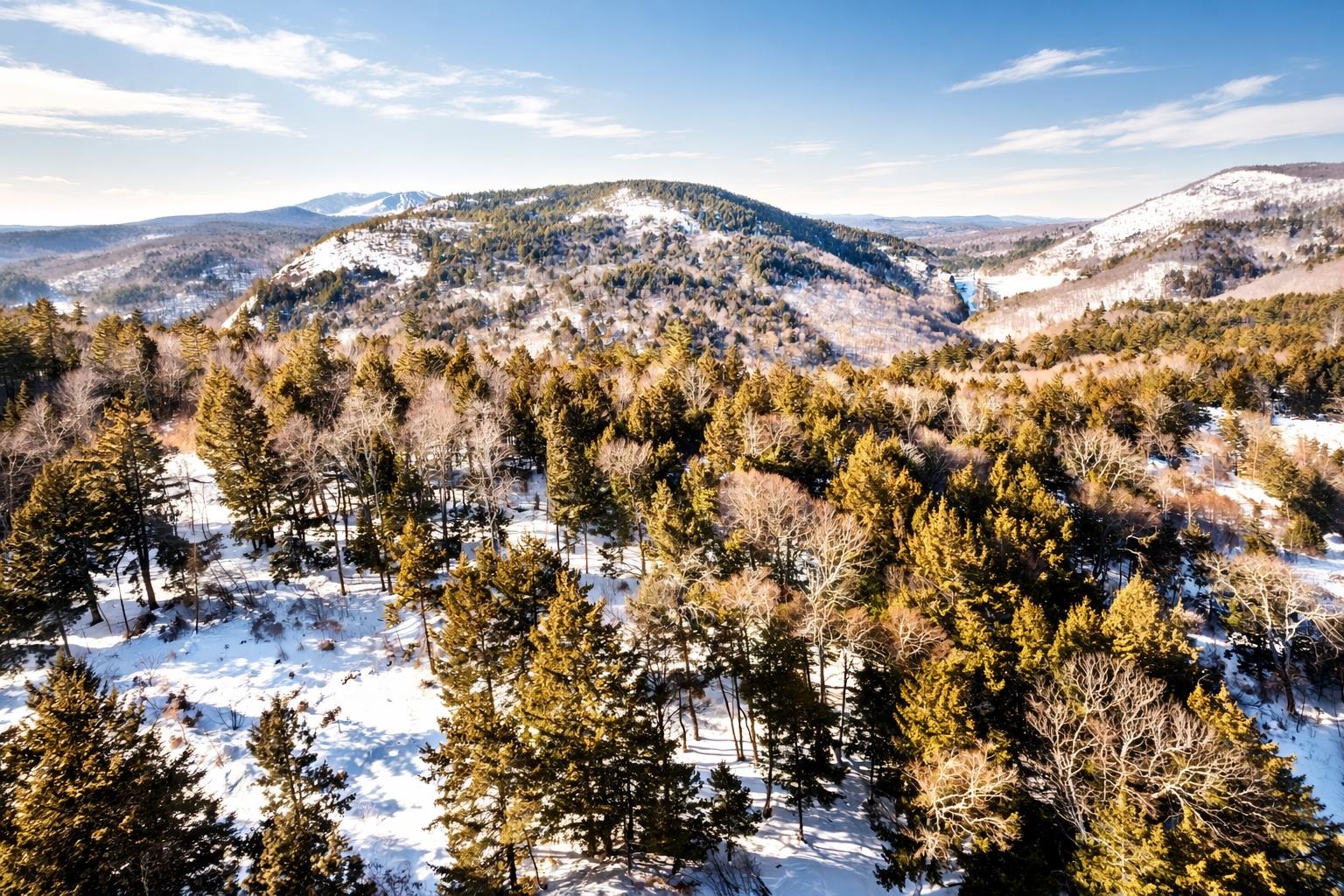 0 Turkey Mountain Road Jamaica, VT 05343 - Photo 1 of 26
