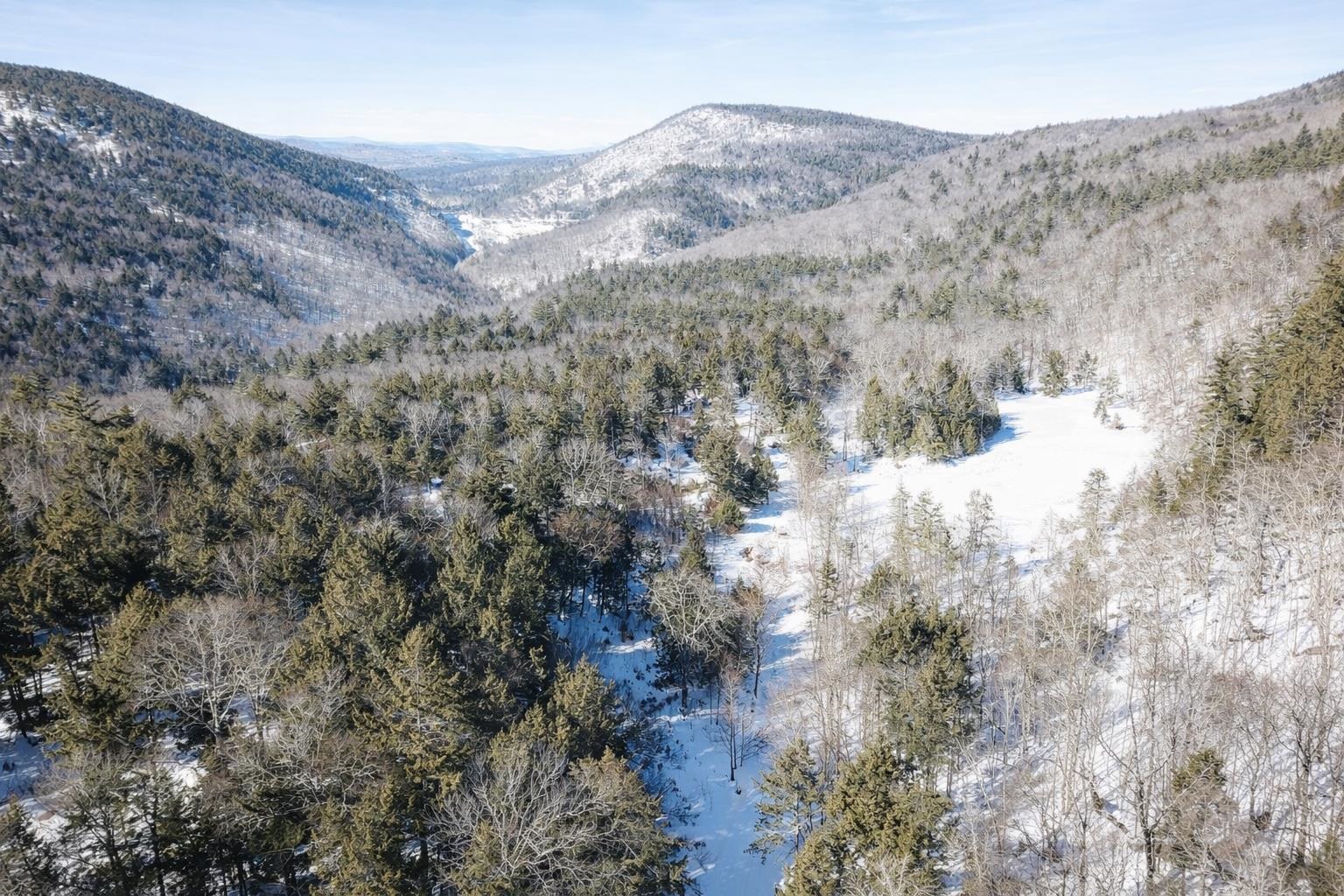 0 Turkey Mountain Road Jamaica, VT 05343 - Photo 13 of 26