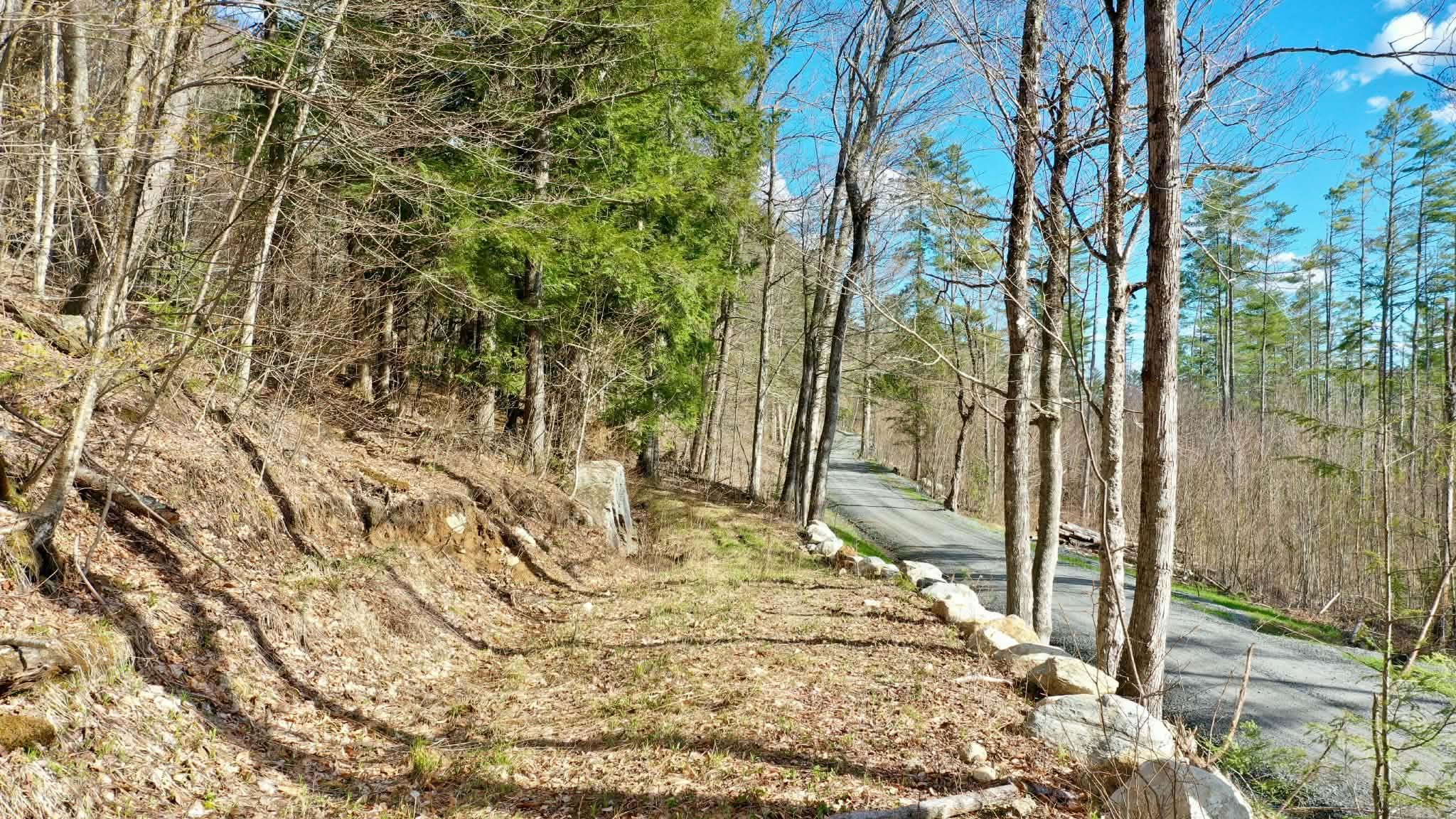 0 Turkey Mountain Road Jamaica, VT 05343 - Photo 13 of 49