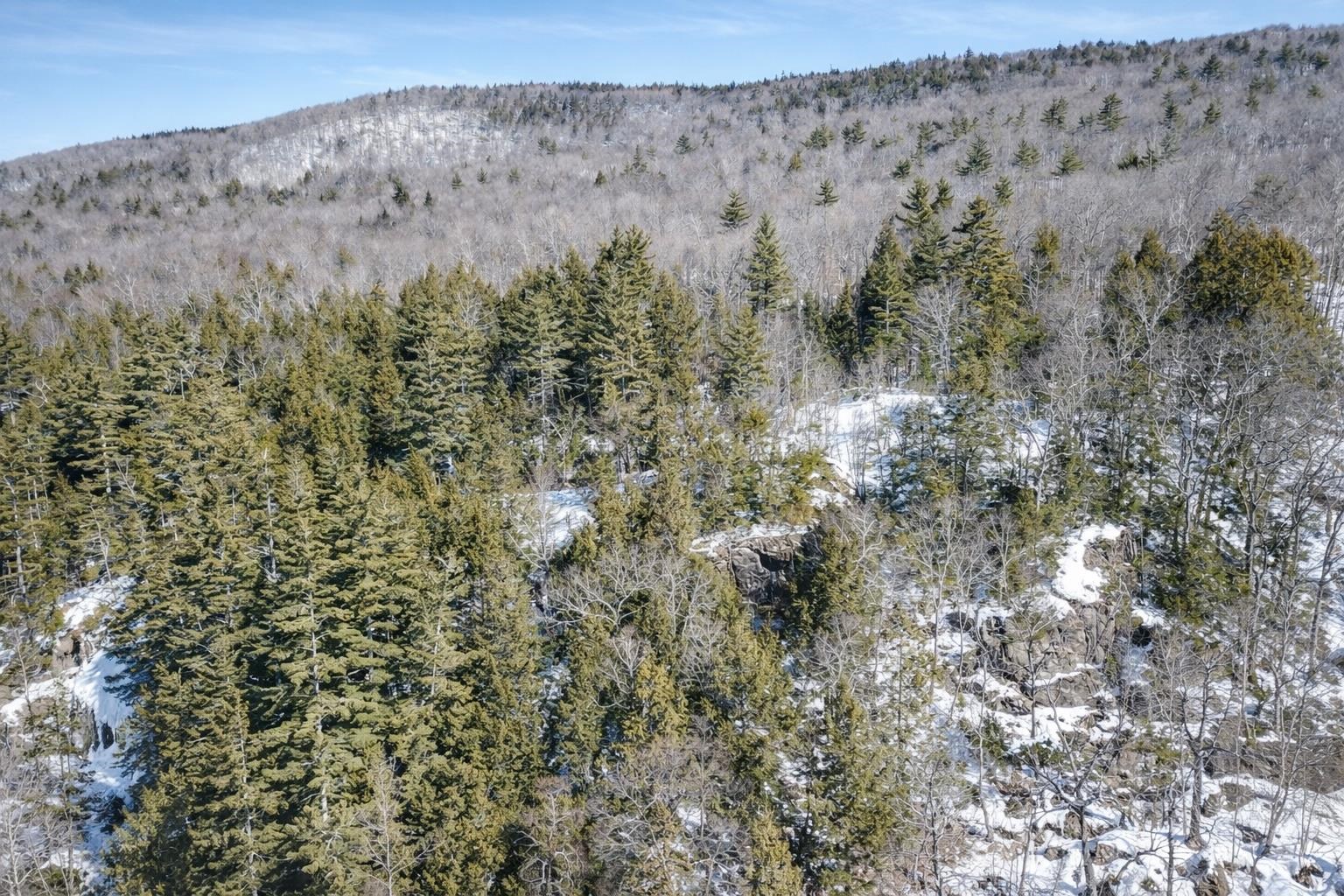 0 Turkey Mountain Road Jamaica, VT 05343 - Photo 14 of 26